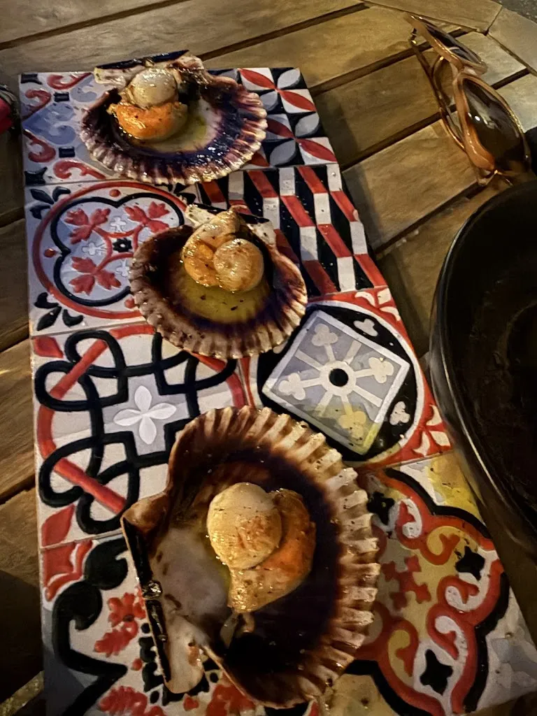 Henrik Sprengel_Toc de Vi_Colomers_recensione