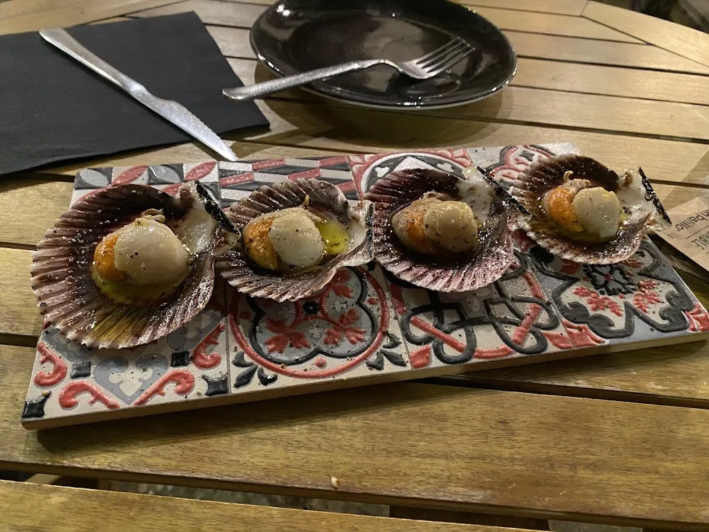 Ainània Tècul Torres_Toc de Vi_Colomers_recensione