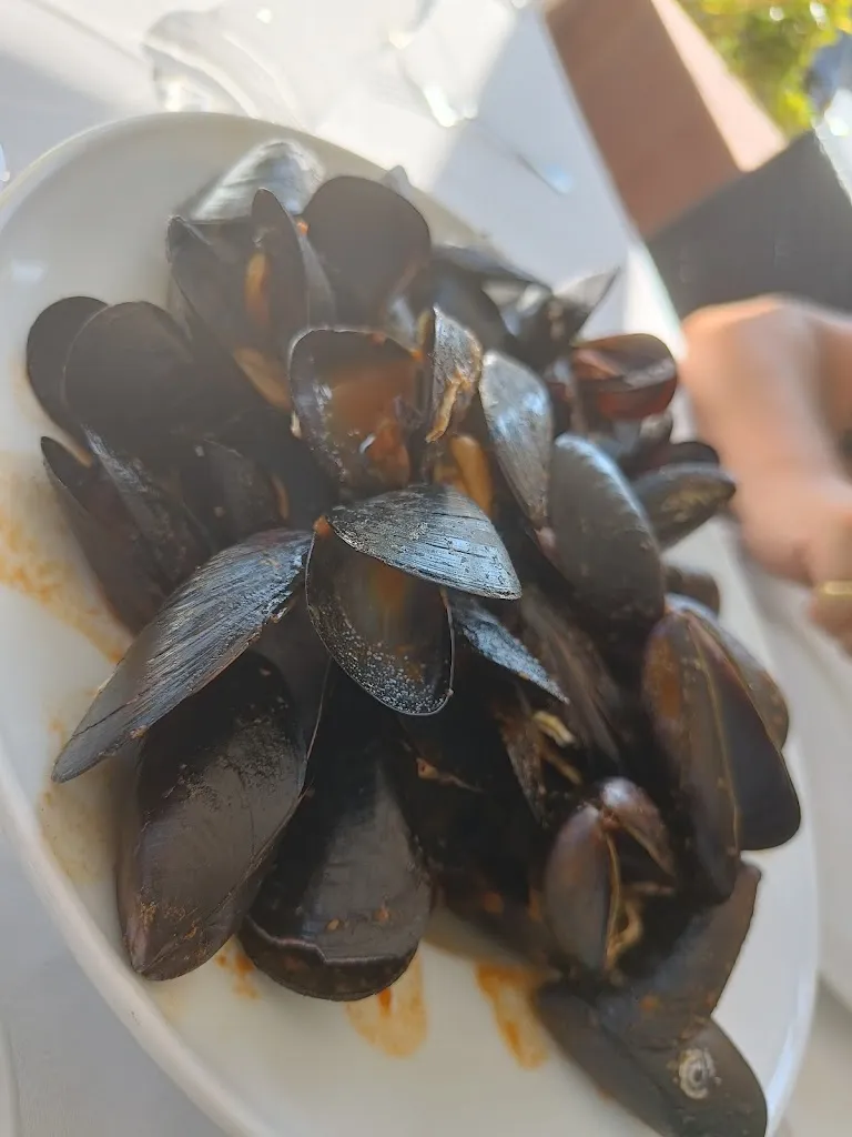 Menu_Restaurant Feliu_Castell-Platja dAro_immagine_7