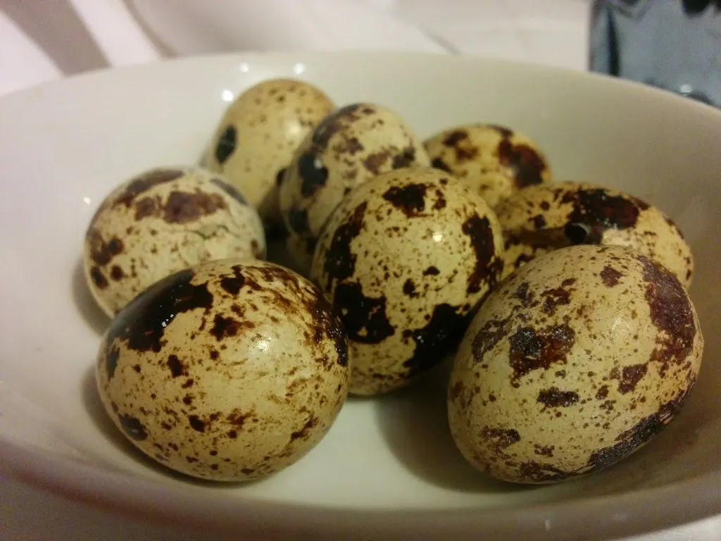 Menu_Restaurant Mas Pou_Forallac_image_7