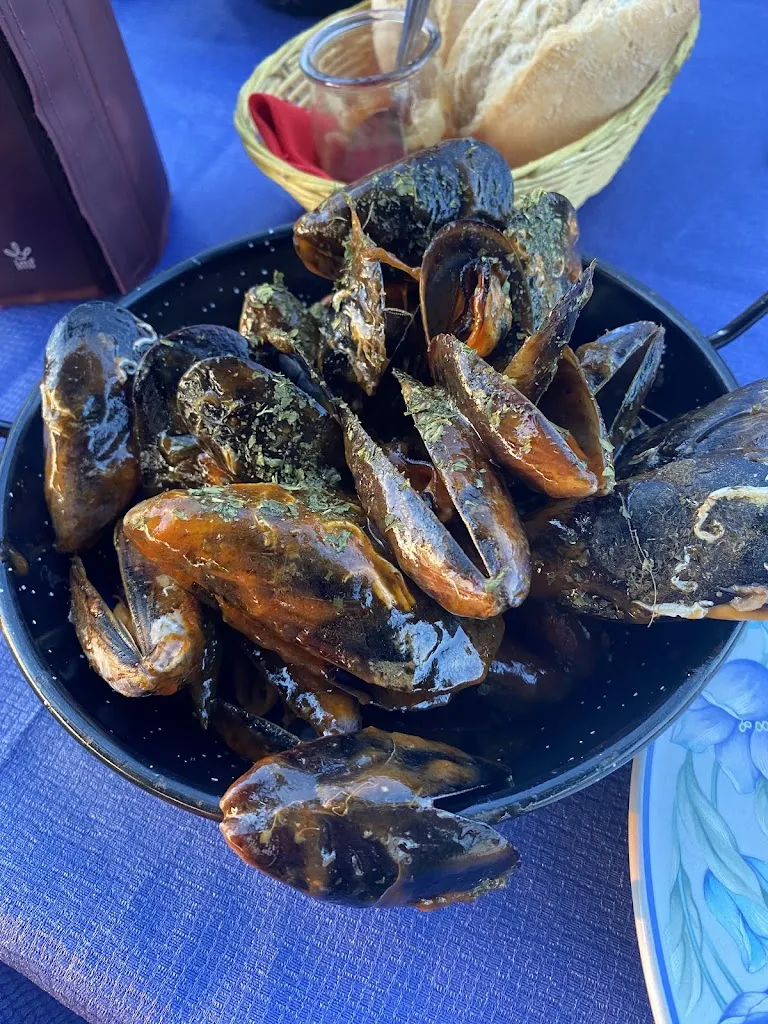 Mary Collingridge_Molí de vent_Garriguella_review