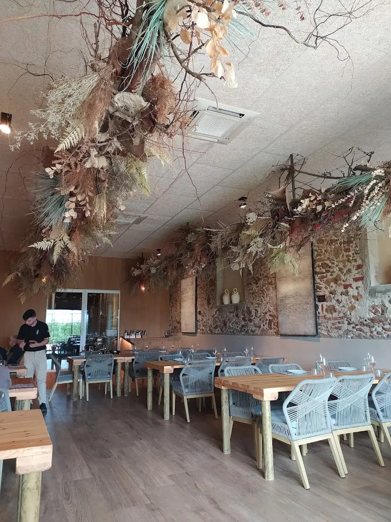 Mooma_Gualta_slider_image_3