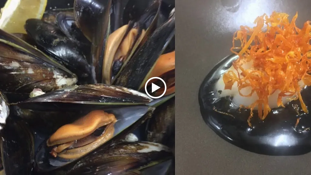 Trànsit_Figueres_slider_image_2