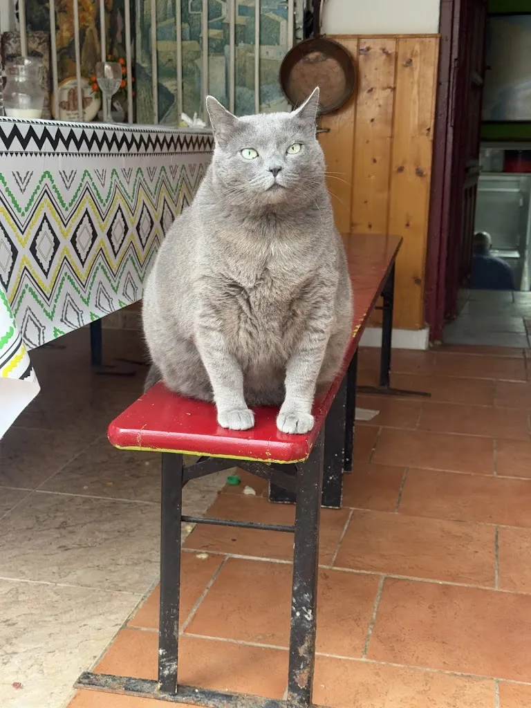 Ιannis Pantazidis_Restaurant Ca La Francisqueta_Llers_review