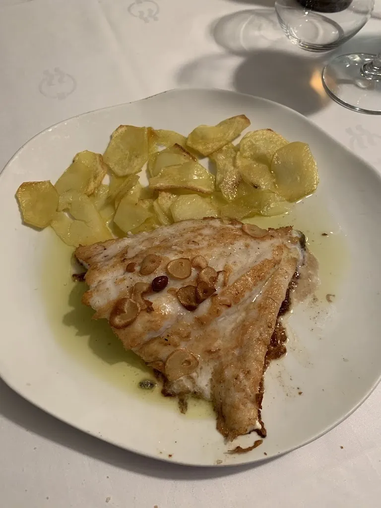 Tyra_El Roser 2_Escala L_review