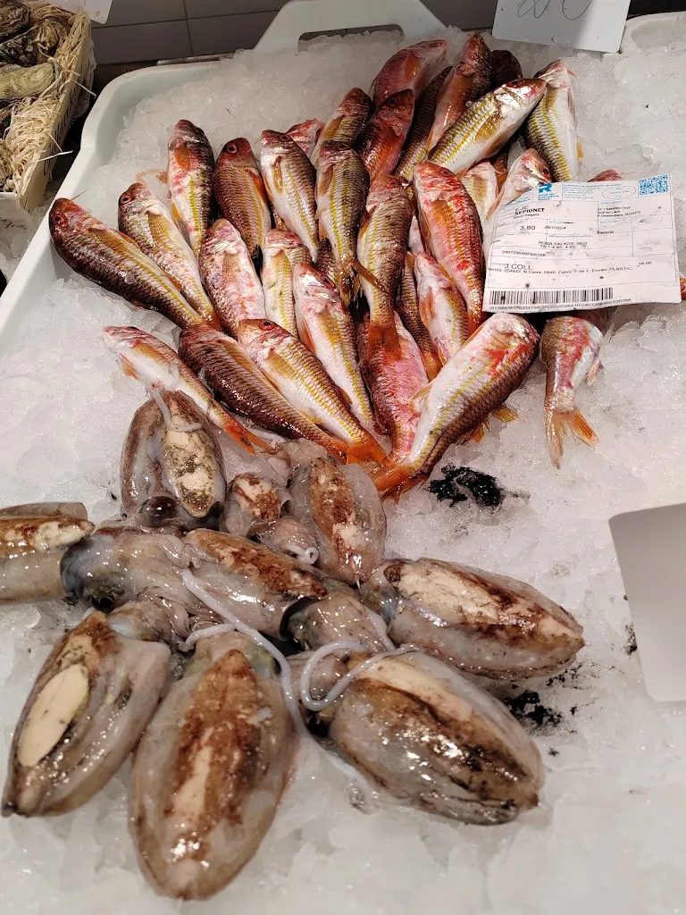 najwan hindawe_Peixos Coll_Escala L_review