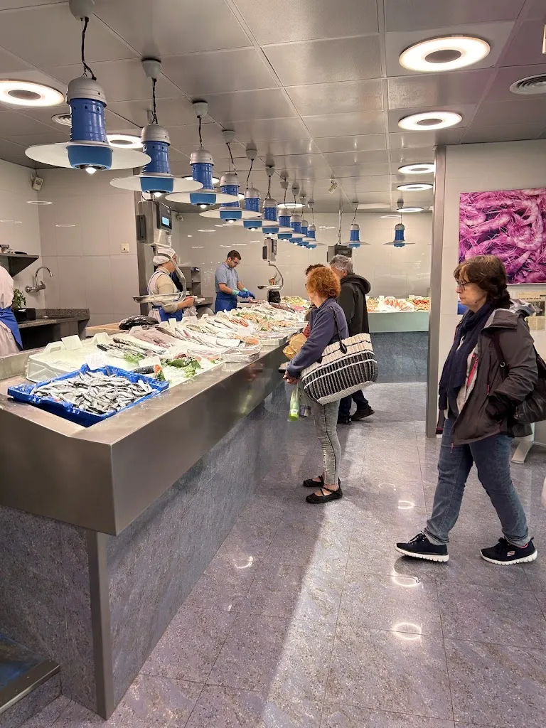 Michael Hölzenbein_Peixos Coll_Escala L_review