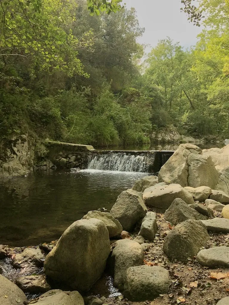 Gali Hefetz_Càmping Maçanet de Cabrenys_Maçanet de Cabrenys_review
