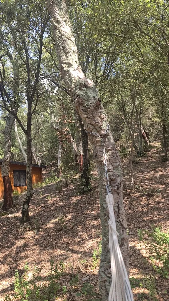 Càmping Maçanet de Cabrenys restaurant in Maçanet de Cabrenys