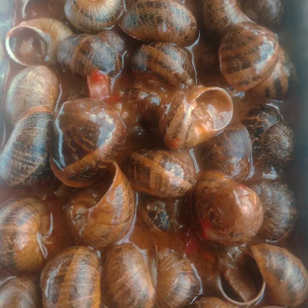 Menü_Cuinats el Bon Gust Spain_Llagostera_Bild_1