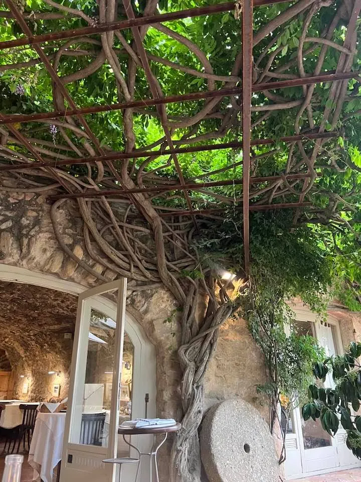 Darrin Smith_Hotel Restaurant la Plaça_Madremanya_recensione