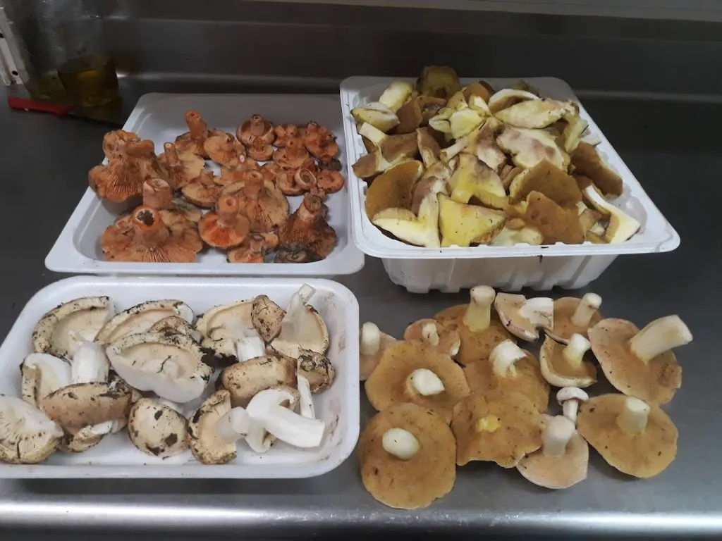 Menü_Hostal Bonaterra_Maçanet de la Selva_Bild_4