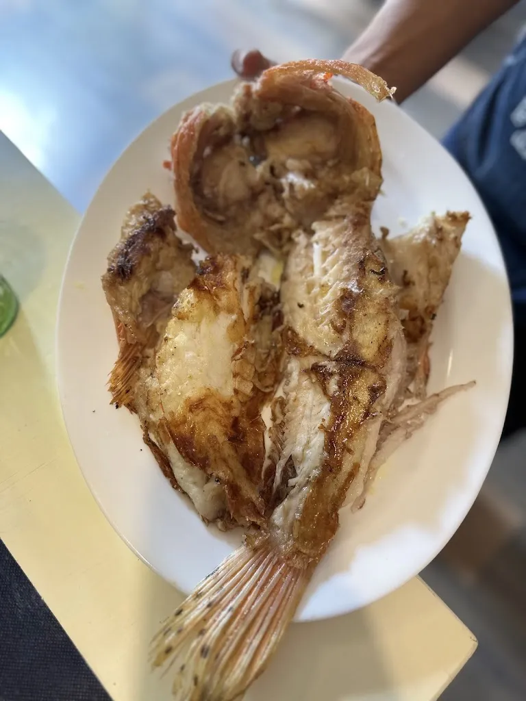 Victor Fernandez Encinas_La Cova del Peix_Masarac_review