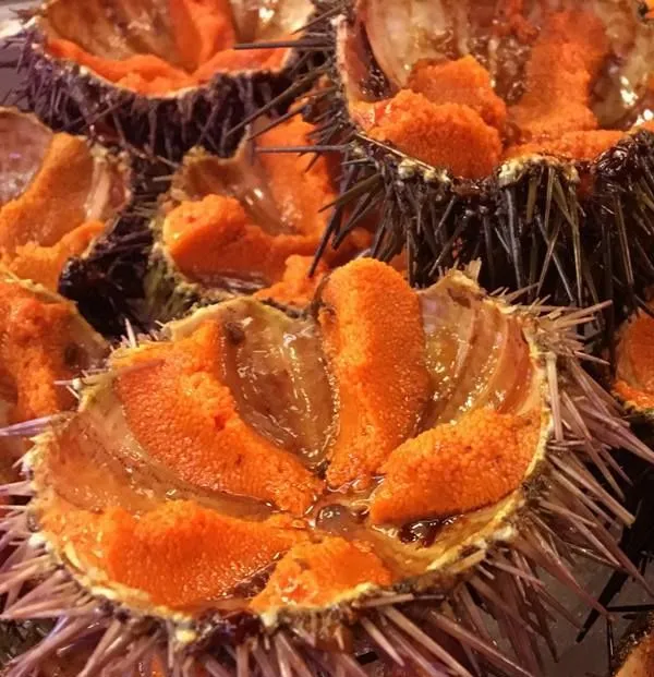 La Cova del Peix_Masarac_slider_image_3