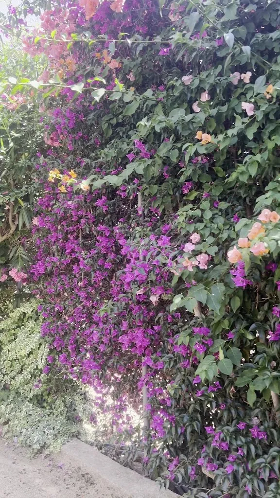 Lina Abisoghomyan_Restaurant Can Guidet_Lloret de Mar_review