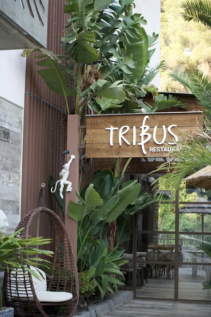 Ana Maria Mariuta_Restaurant Tribus by Casa Coco_Lloret de Mar_review