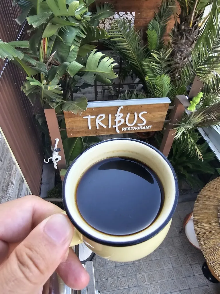 Nermin Kuldija_Restaurant Tribus by Casa Coco_Lloret de Mar_review