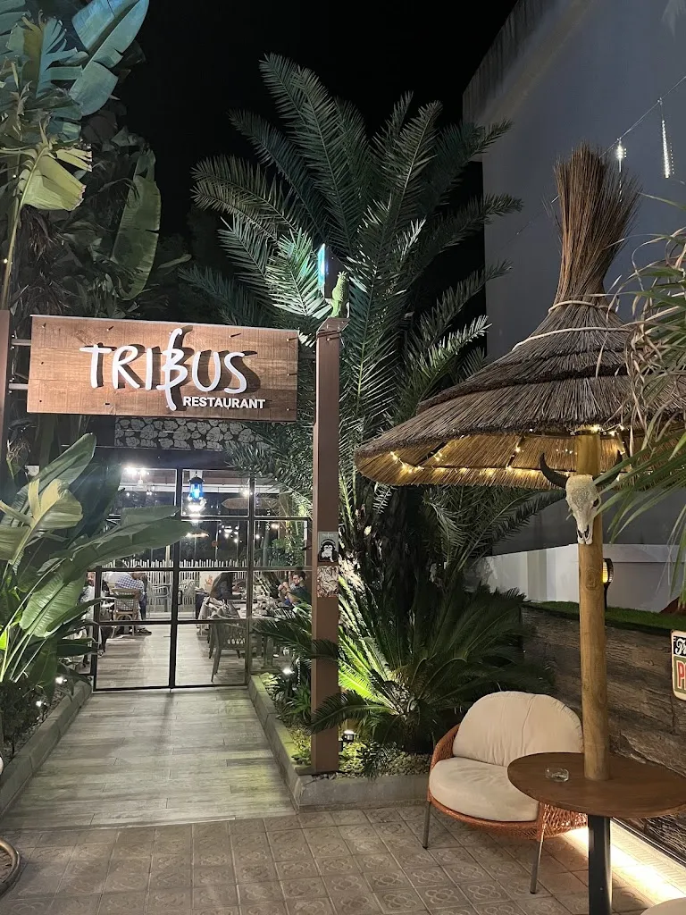 Restaurant Tribus by Casa Coco_Lloret de Mar_slider_image_3