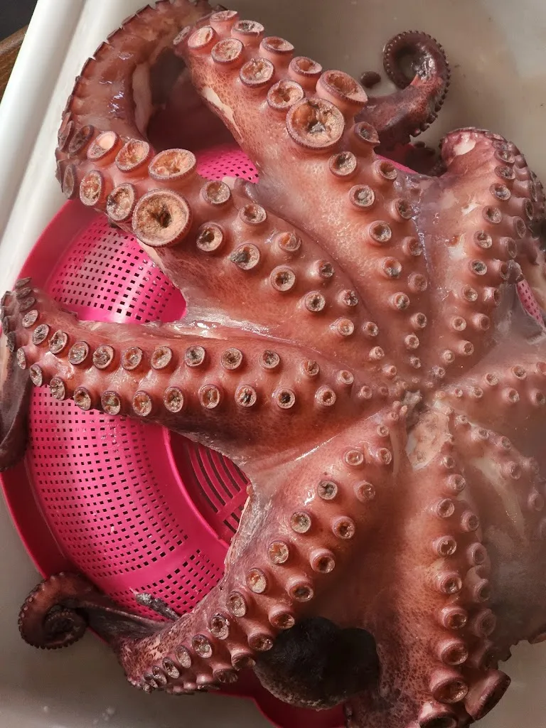 Menu_El Segre de Llívia_Llívia_image_5