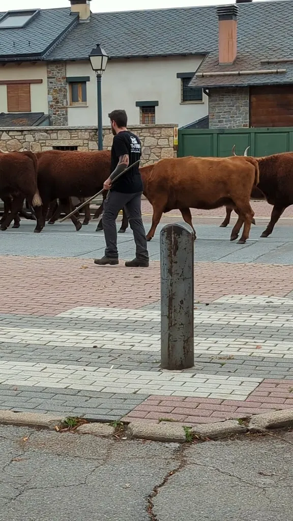 Robin Ireland_Esquirol_Llívia_recensione