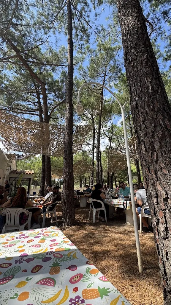 Jessica Jorge_Restaurant Miralles | Restaurant de cuina casolana a Llançà_Llançà_review