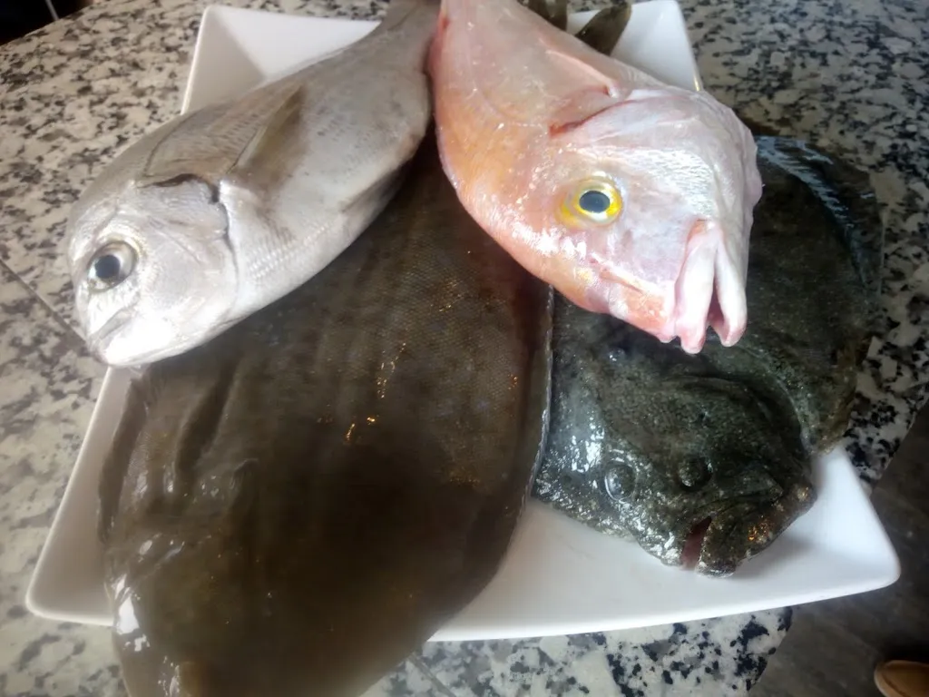 Menu_Barko_Llançà_image_8