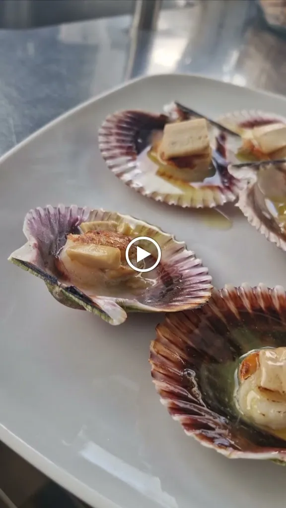 Barko_Llançà_slider_image_1