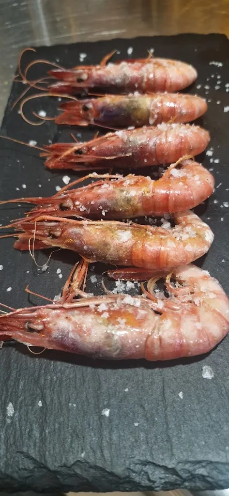 Barko_Llançà_slider_image_2