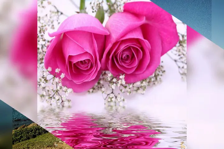 Restaurant Llança port_Llançà_slider_image_2