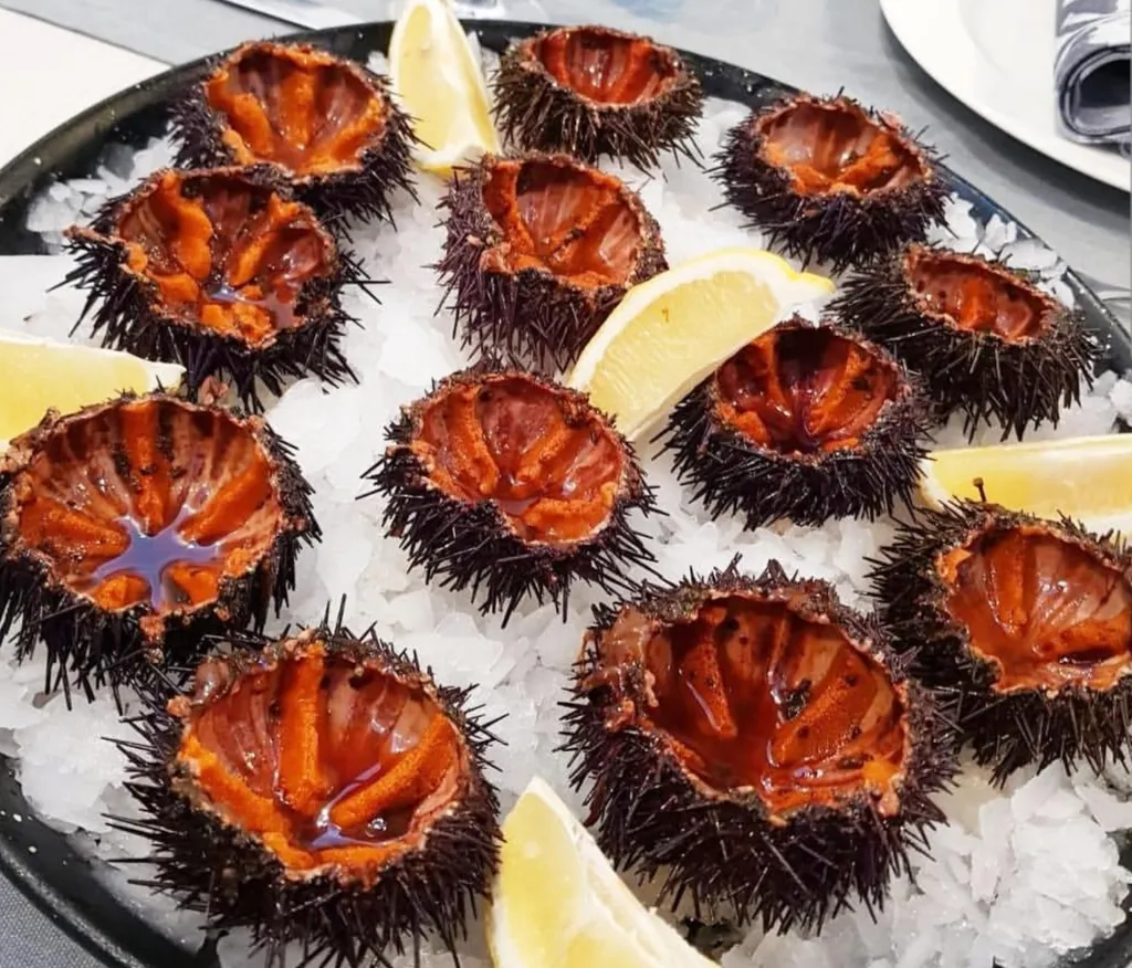 La BALLETA 1969_Llançà_slider_image_3