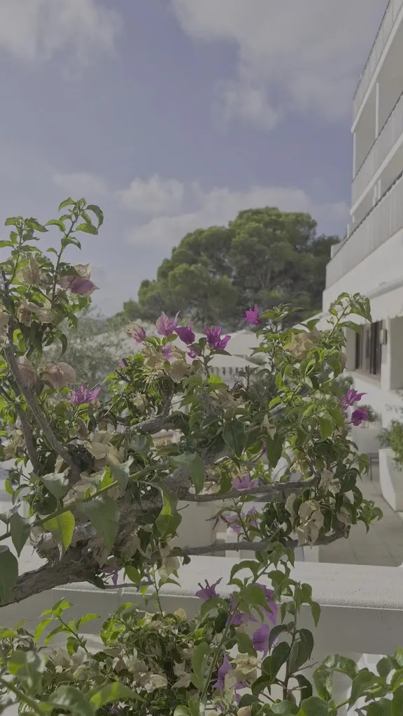 Hotel Grifeu restaurant in Llançà