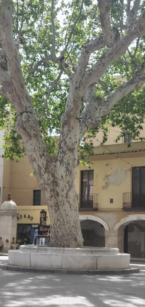 Pam D._Bar Felip_Llançà_review