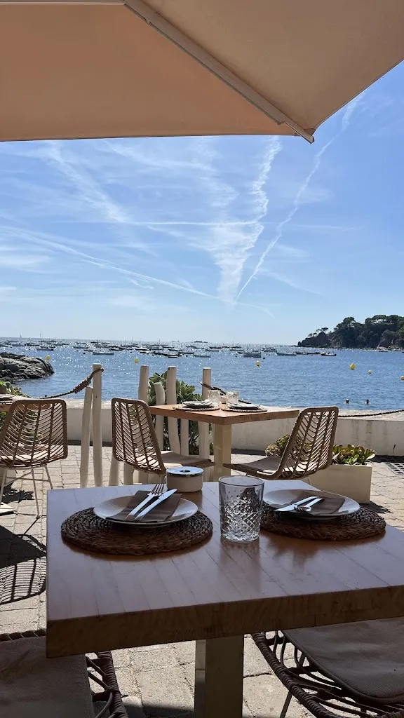 Gelpifish_Palafrugell_slider_image_3