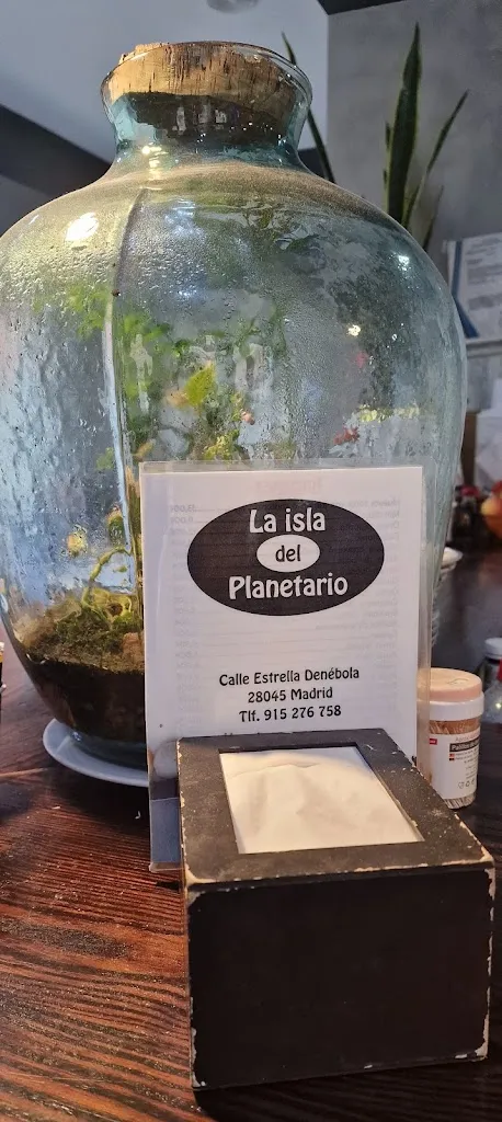 Pedro Fernando Salazar Sosa_La Isla del Planetario_Pals_review