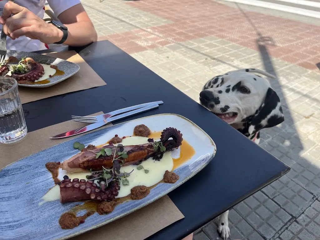 Lucie P_Antic Casino Restaurant Pals_Pals_recensione