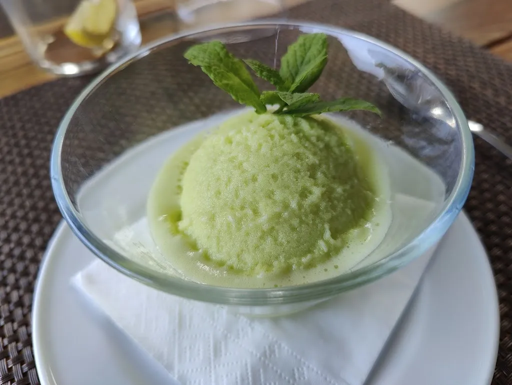 Dom Adc_Palsito_Pals_review