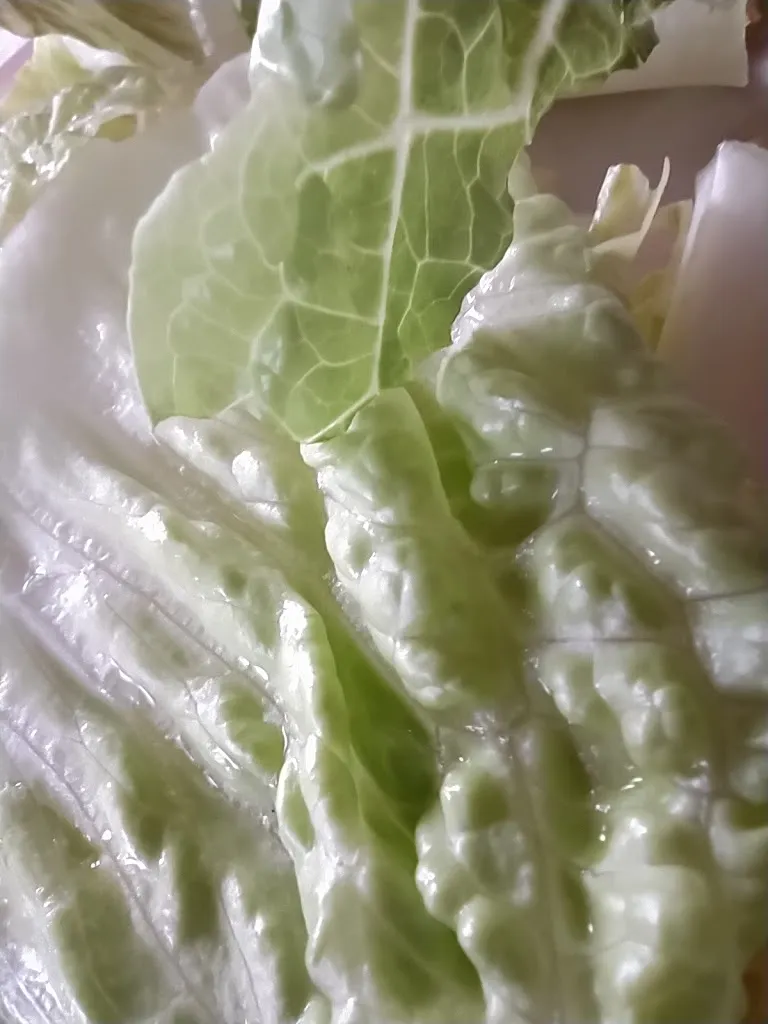 Menu_Can Manel_Pardines_image_6