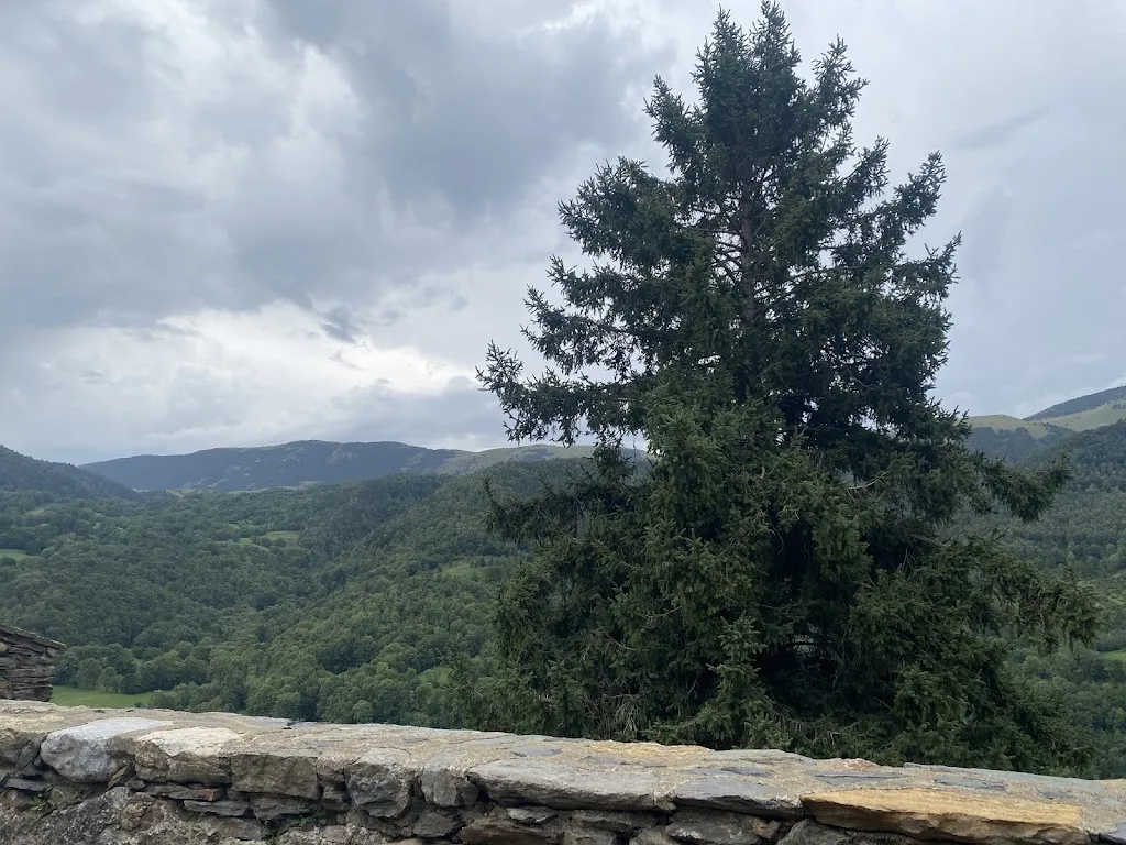 Jon PPCC_Can Manel_Pardines_review