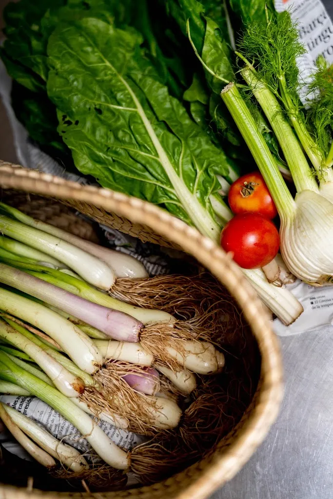 Can Serra Hostel_Pardines_slider_image_2