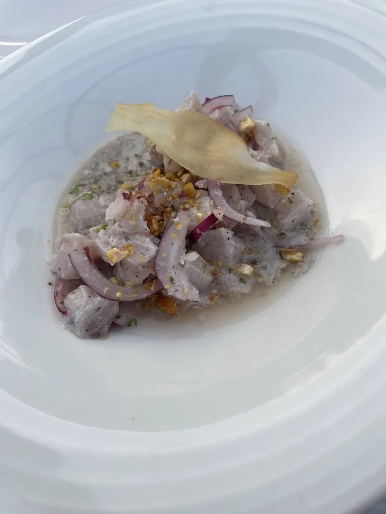 stephan van langeveld_Nou Fusion_Palau-saverdera_review