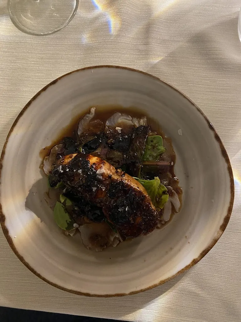 Thijs_Nou Fusion_Palau-saverdera_review