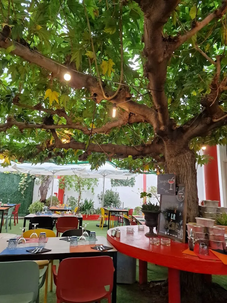 Restaurant Can Felix Empuriabrava, Castelló d'Empúries_Palau-saverdera_slider_image_3