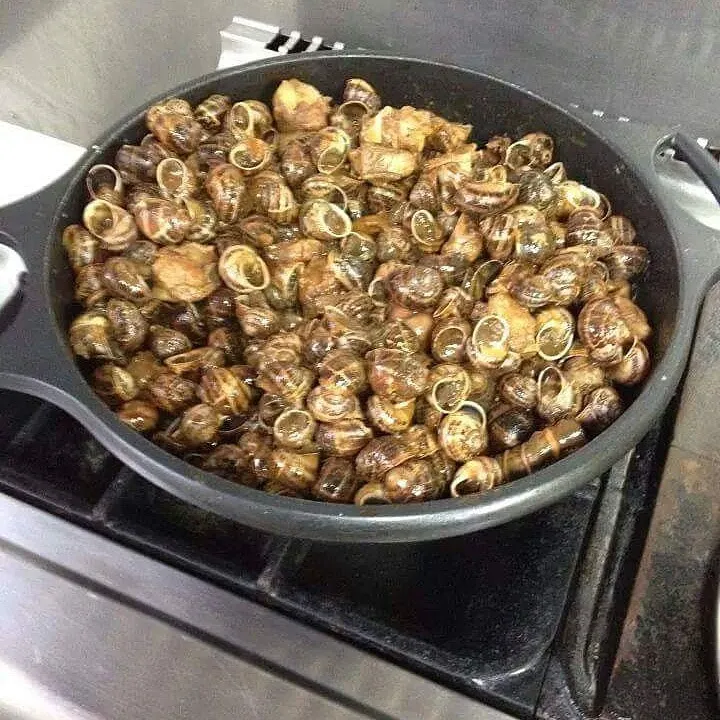 Menu_Restaurant La Bota_Olot_immagine_9