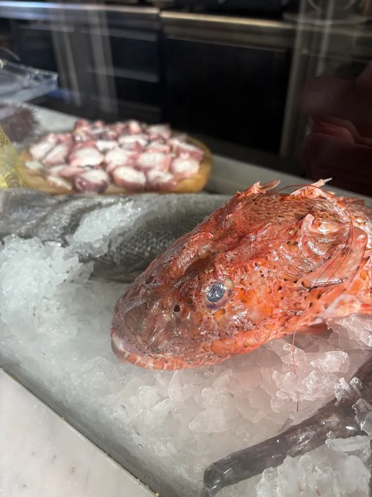 Catalina Moll Arguimbau_La Barra d'en Regue_Olot_review