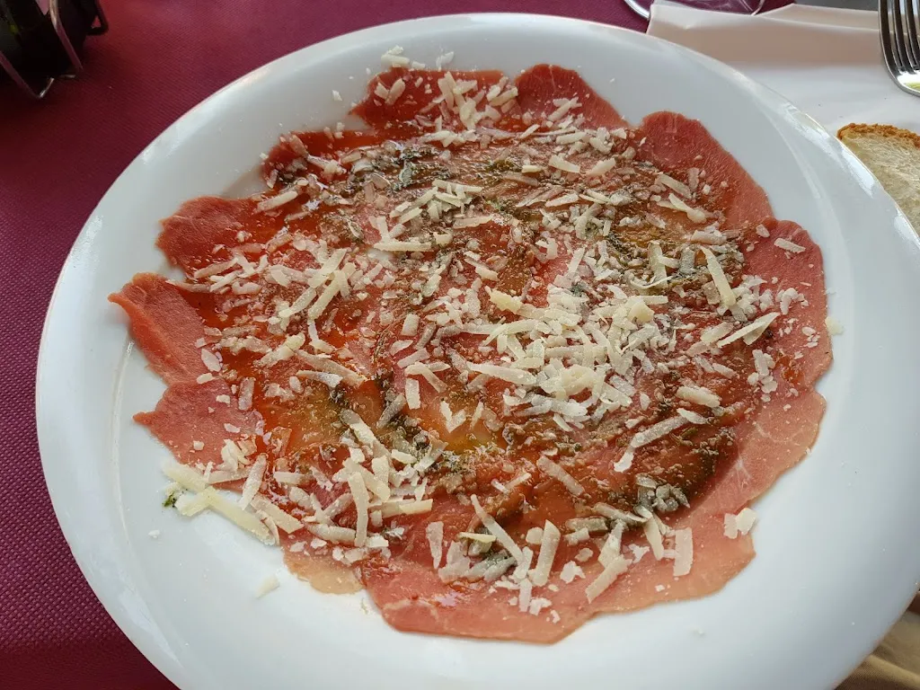 Trevor Bond_La trobada de olot_Olot_review