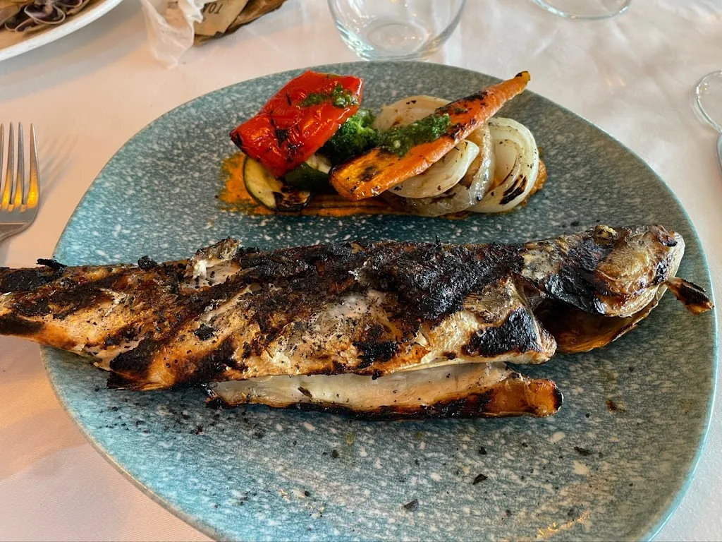 Haishan Xu_L'arbre de Juliette_Palamós_review