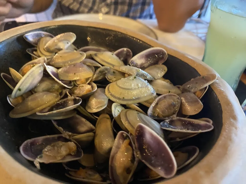 Yvonne Cheng_Baretu_Palamós_review