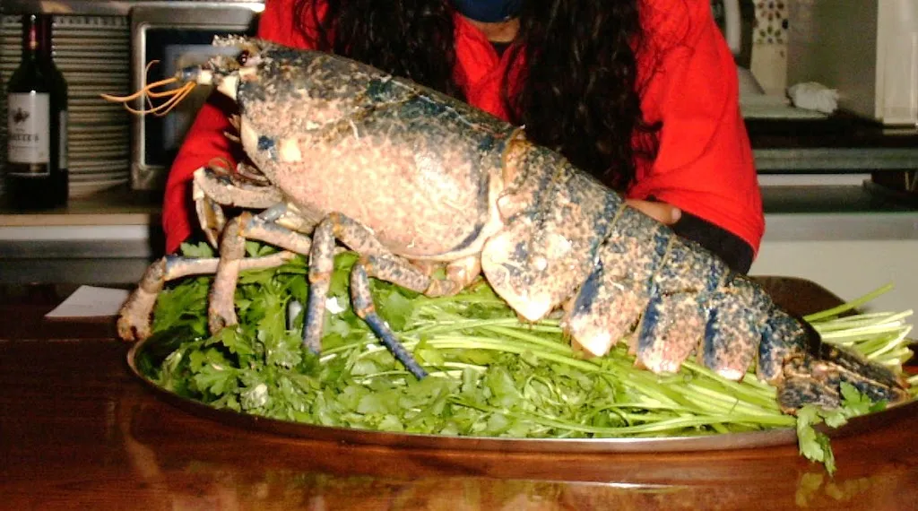 Menu_Mesón Don Gruñón_Albatera_image_9