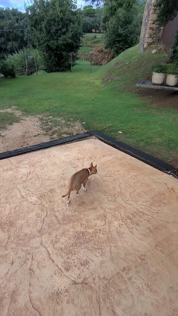 Gemma_Can Masferrer_Riudarenes_review