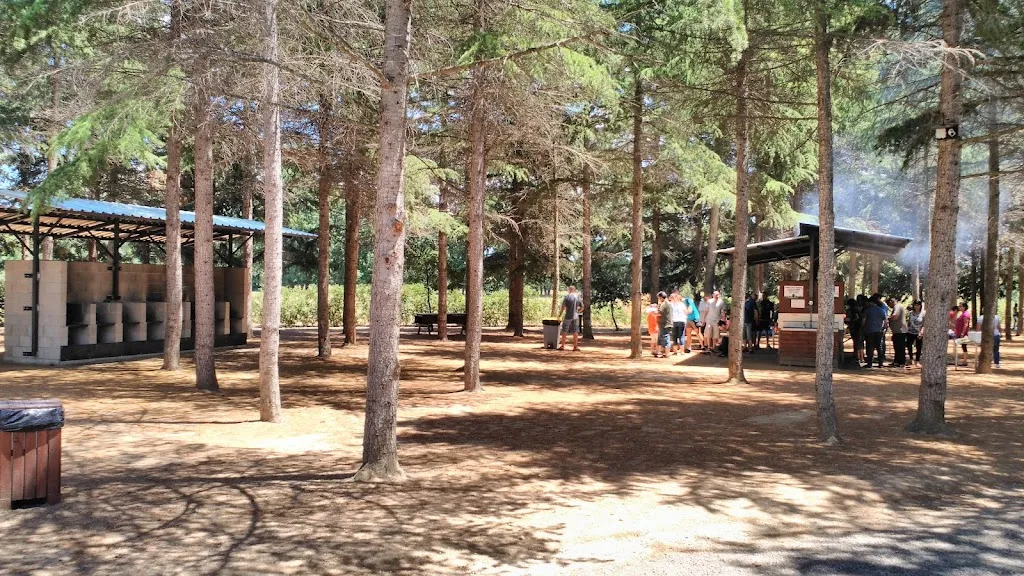 Picnic Els Avets restaurant in Riudarenes